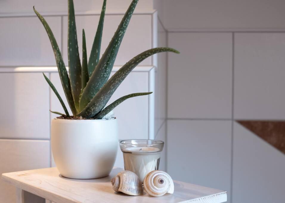 Moderne, Gemuetliche Dg-Wohnung In Ruhiger Lage Neunburg vorm Wald Luaran gambar