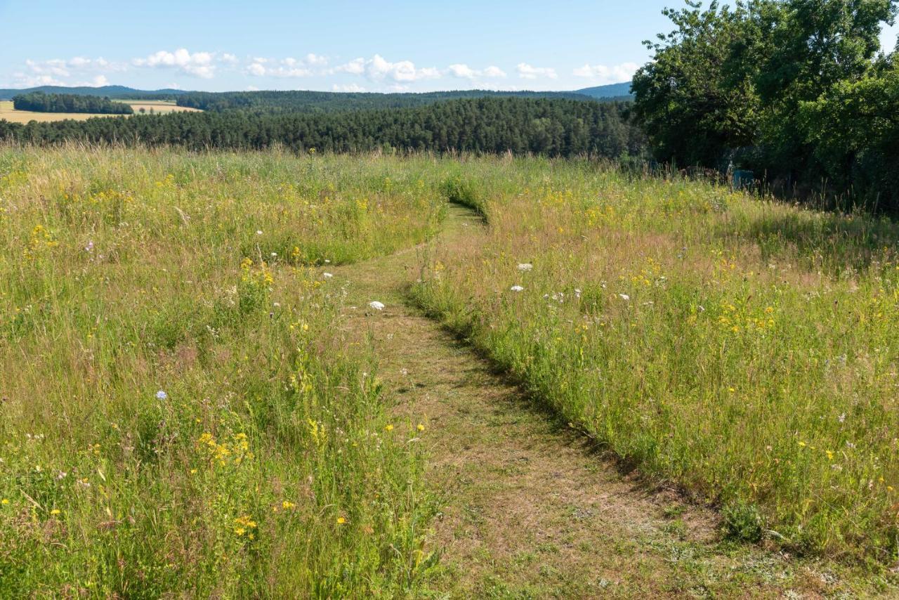 Moderne, Gemuetliche Dg-Wohnung In Ruhiger Lage Neunburg vorm Wald Luaran gambar