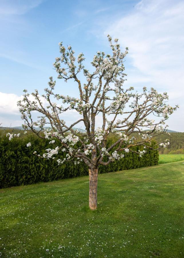 Moderne, Gemuetliche Dg-Wohnung In Ruhiger Lage Neunburg vorm Wald Luaran gambar