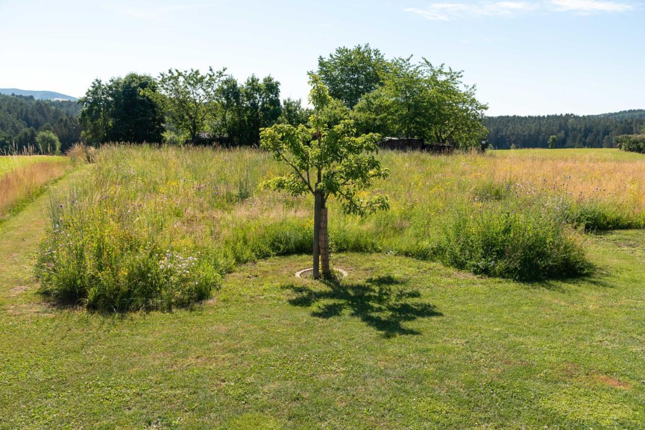 Moderne, Gemuetliche Dg-Wohnung In Ruhiger Lage Neunburg vorm Wald Luaran gambar